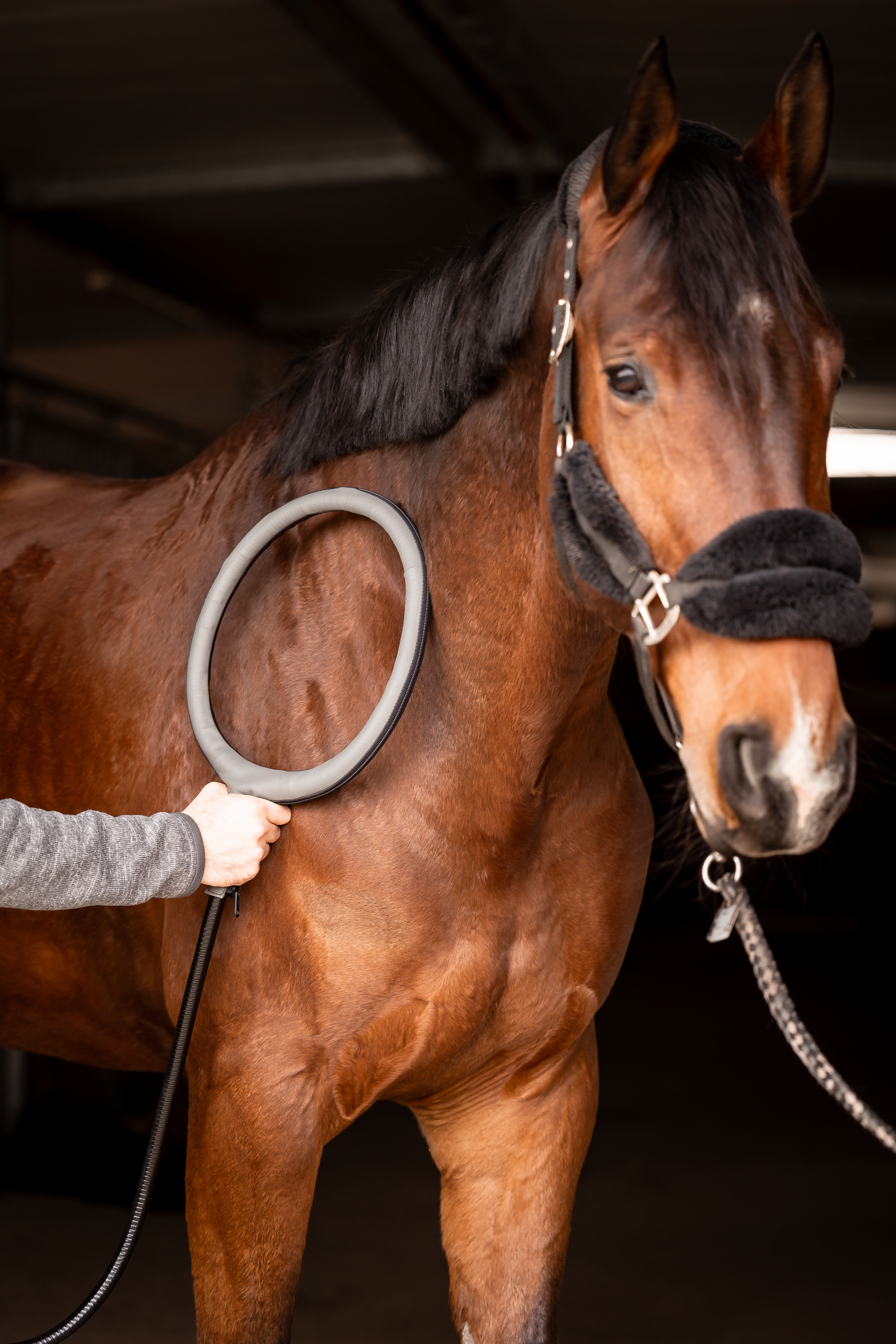 HIPPOFLOW mittlere Anwendungsloop